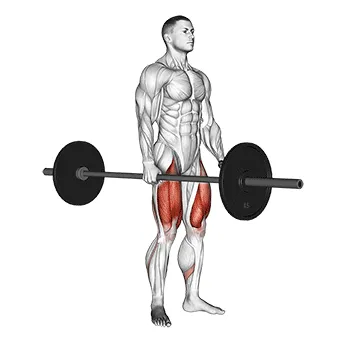 Animated demonstration: barbell one arm side deadlift — target glutes