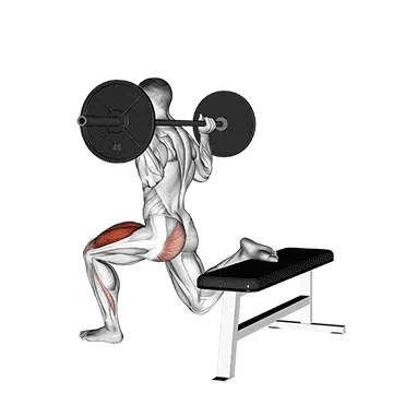 Animated demonstration: barbell one leg squat — target quads