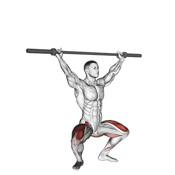 Animated demonstration: barbell overhead squat — target quads