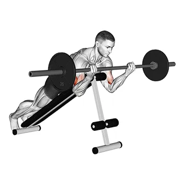Animated demonstration: barbell prone incline curl — target biceps