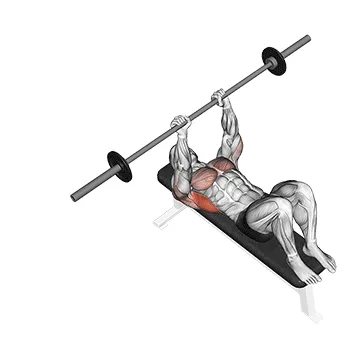 Animated demonstration: barbell pullover — target lats