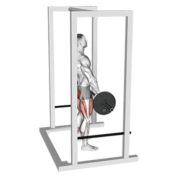 Animated demonstration: barbell rack pull — target glutes