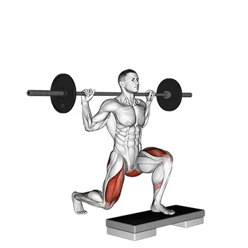 Animated demonstration: barbell rear lunge v. 2 — target glutes