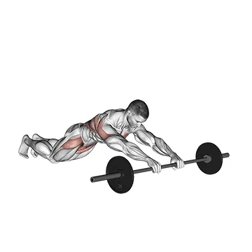 Animated demonstration: barbell rollerout — target abs