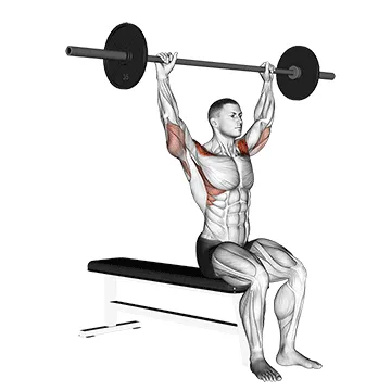 Animated demonstration: barbell seated behind head military press — target delts