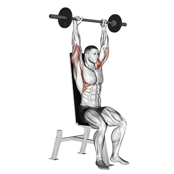 Animated demonstration: barbell seated bradford rocky press — target delts