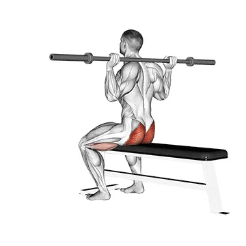 Animated demonstration: barbell seated good morning — target glutes
