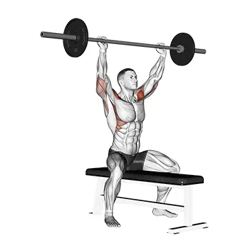 Animated demonstration: barbell seated overhead press — target delts