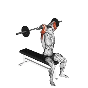 Animated demonstration: barbell seated overhead triceps extension — target triceps
