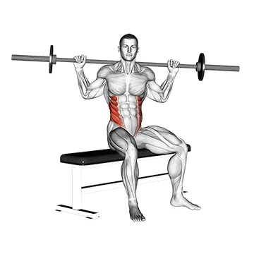 Animated demonstration: barbell seated twist — target abs
