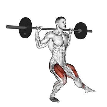 Animated demonstration: barbell side split squat v. 2 — target quads