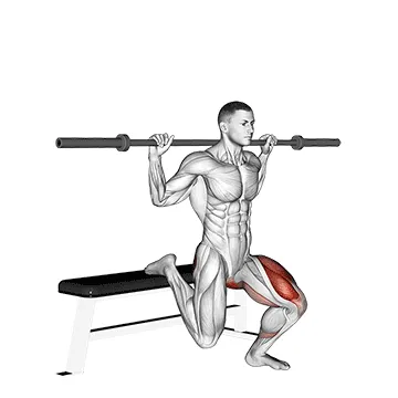 Animated demonstration: barbell single leg split squat — target quads