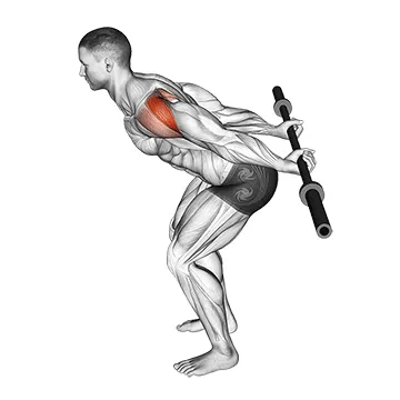Animated demonstration: barbell skier — target delts