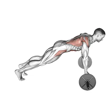 Animated demonstration: barbell standing ab rollerout — target abs