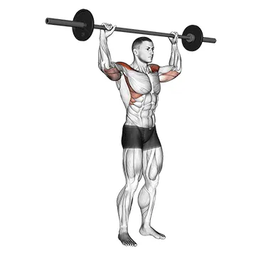 Animated demonstration: barbell standing bradford press — target delts
