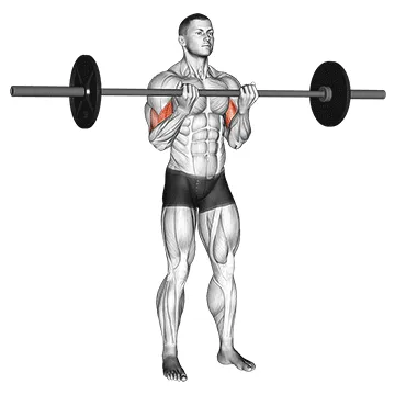 Animated demonstration: barbell standing close grip curl — target biceps