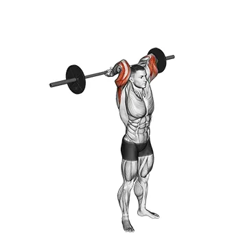 Animated demonstration: barbell standing overhead triceps extension — target triceps