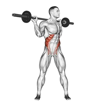 Animated demonstration: barbell standing twist — target abs