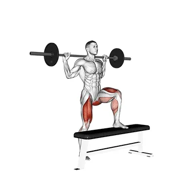 Animated demonstration: barbell step-up — target glutes