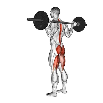 Animated demonstration: barbell stiff leg good morning — target glutes
