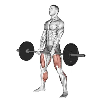 Animated demonstration: barbell sumo deadlift — target glutes
