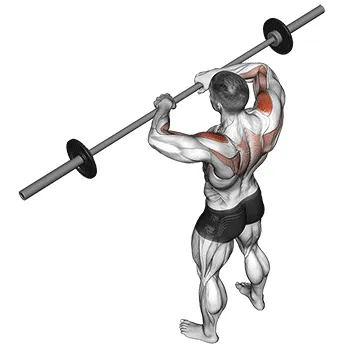 Animated demonstration: barbell upright row v. 2 — target delts