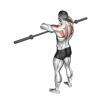 Animated demonstration: barbell upright row v. 3 — target delts