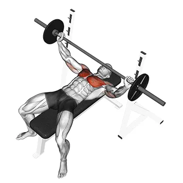 Animated demonstration: barbell wide bench press — target pectorals
