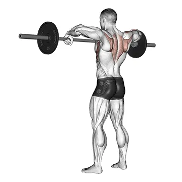 Animated demonstration: barbell wide-grip upright row — target delts