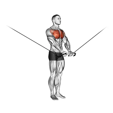Animated demonstration: cable cross-over variation — target pectorals