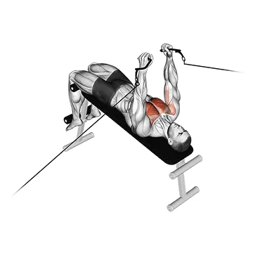 Animated demonstration: cable decline fly — target pectorals