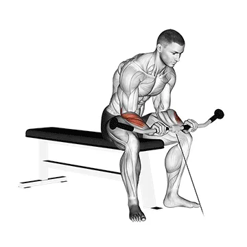 Animated demonstration: cable reverse wrist curl — target forearms