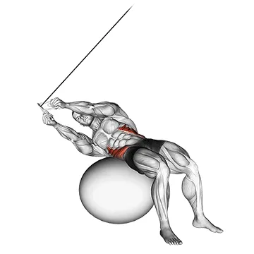 Animated demonstration: cable russian twists (on stability ball) — target abs