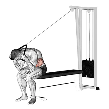 Animated demonstration: cable seated crunch — target abs
