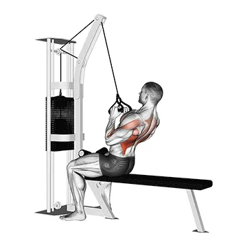 Animated demonstration: cable seated high row (v-bar) — target lats
