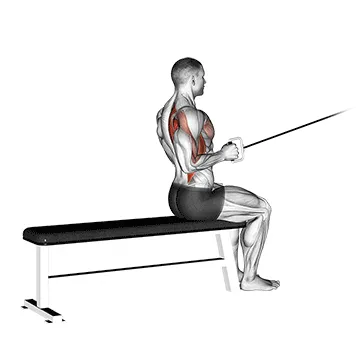 Animated demonstration: cable seated one arm alternate row — target upper back