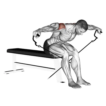 Animated demonstration: cable seated rear lateral raise — target delts
