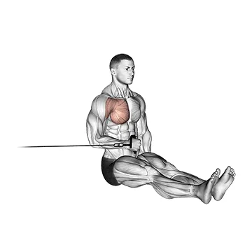 Animated demonstration: cable seated shoulder internal rotation — target delts