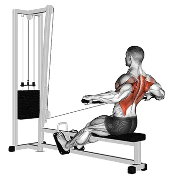 Animated demonstration: cable seated wide-grip row — target upper back