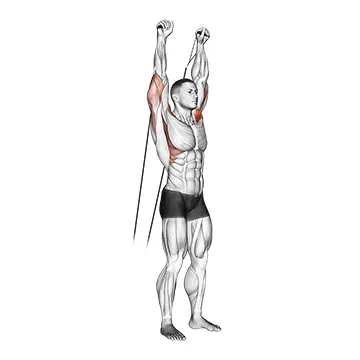 Animated demonstration: cable shoulder press — target delts