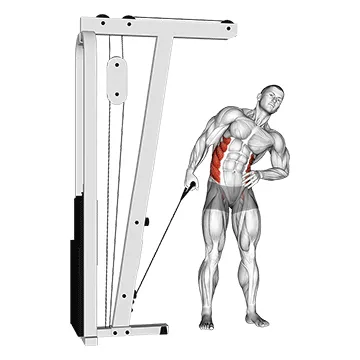 Animated demonstration: cable side bend — target abs