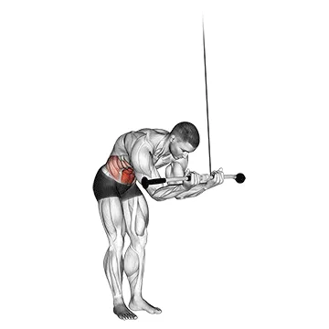 Animated demonstration: cable standing crunch — target abs