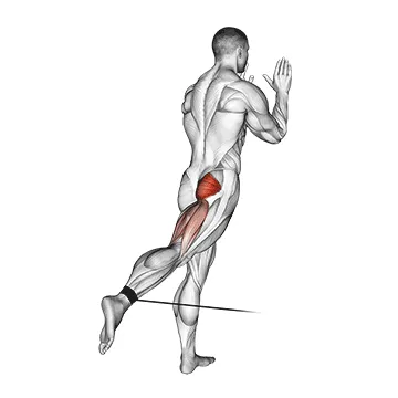 Animated demonstration: cable standing hip extension — target glutes