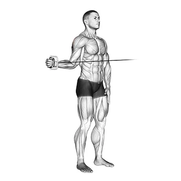 Animated demonstration: cable standing shoulder external rotation — target delts