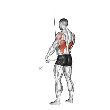 Animated demonstration: cable straight arm pulldown — target lats