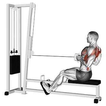 Animated demonstration: cable straight back seated row — target upper back