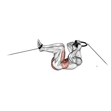 Animated demonstration: cable tuck reverse crunch — target abs
