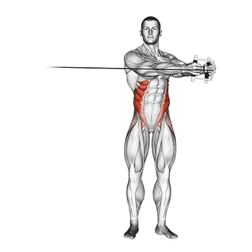 Animated demonstration: cable twist — target abs
