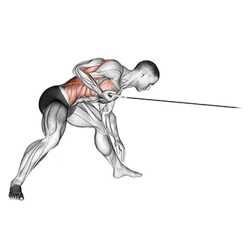 Animated demonstration: cable twisting pull — target lats