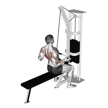 Animated demonstration: cable underhand pulldown — target lats